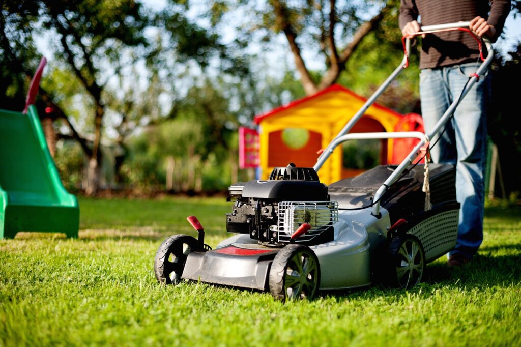 Services lawn mower, cut the lawn, lawn, mow, man, green, person, human, masculine, abstract, bizarre, nature, allotment garden, garden, to dye, multicoloured, gasoline engine